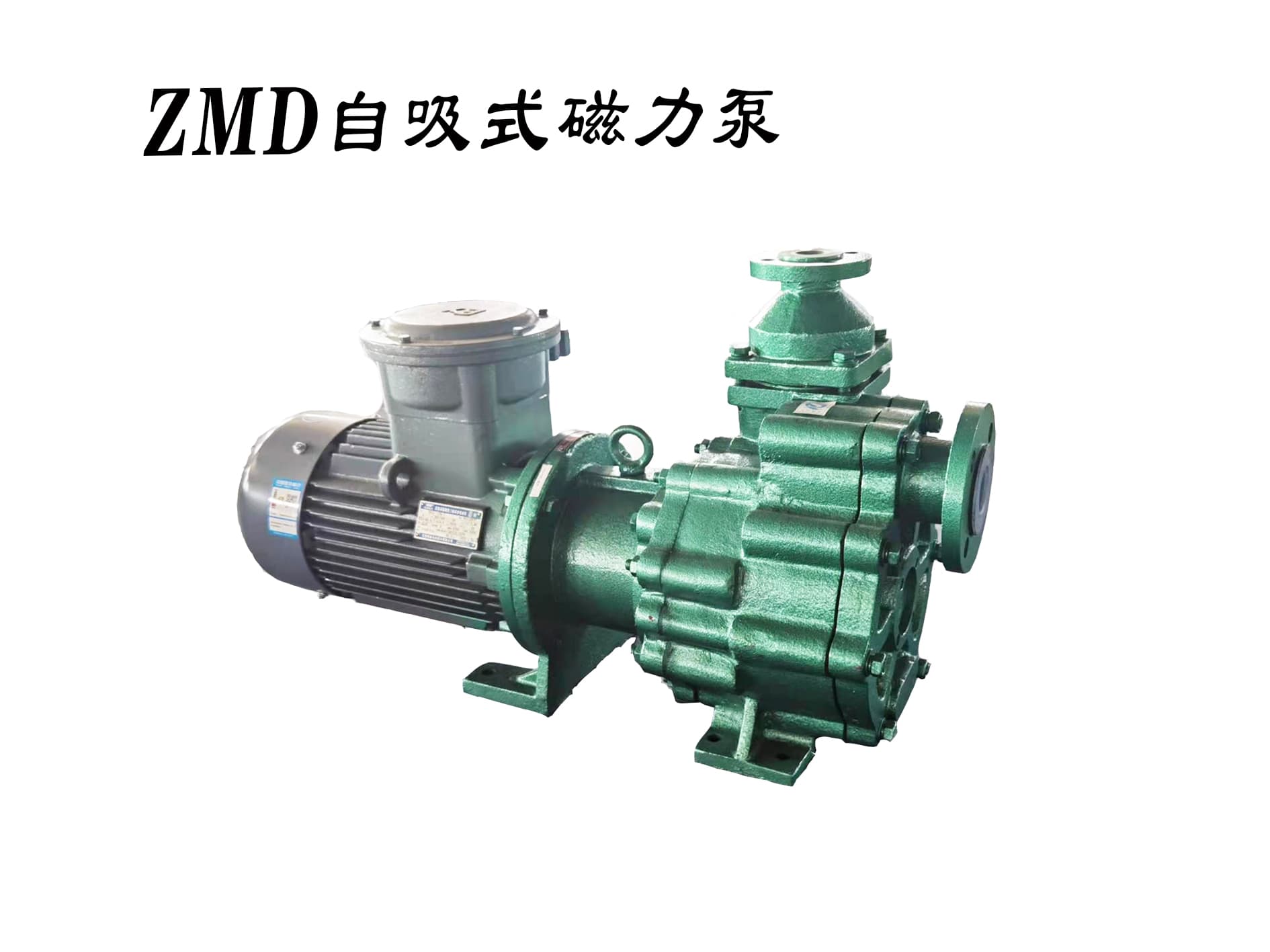 Fluorine Plastic Alloy Magnetic Pump Model ZMD